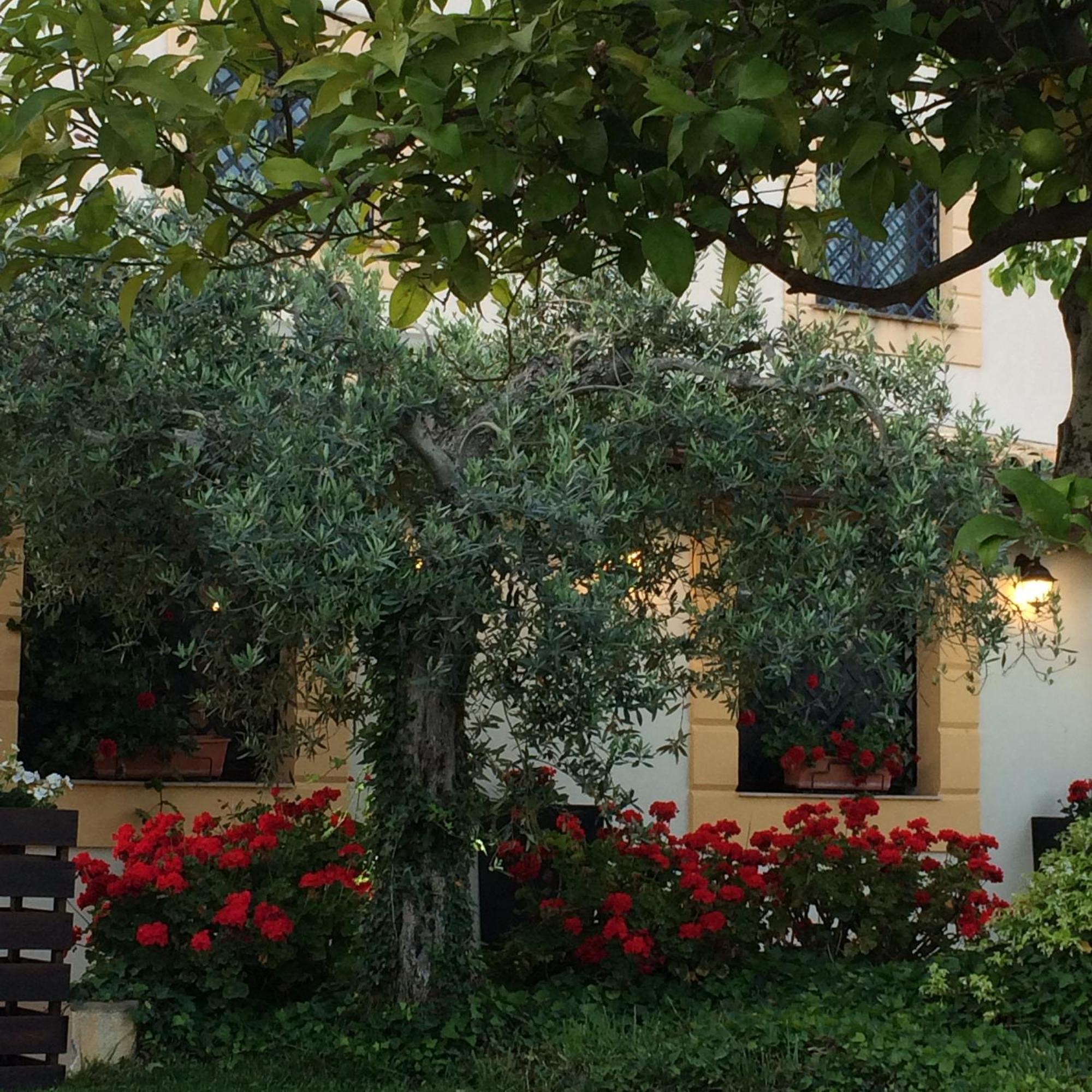 Holiday home Dimora La Grazia Castelvetrano